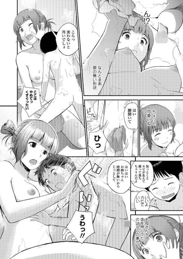 お姉ちゃんのナカ 増補新装版