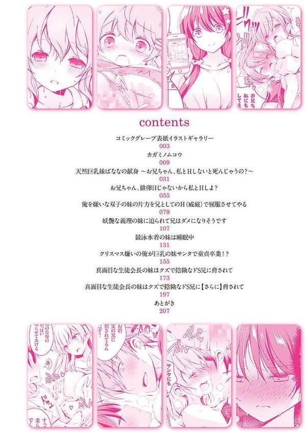いもうとサンクチュアリ【デジタル特装版】【FANZA限定特典付き】