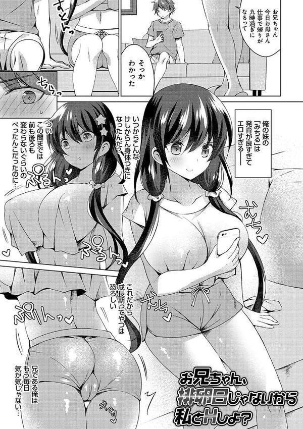 いもうとサンクチュアリ【デジタル特装版】【FANZA限定特典付き】